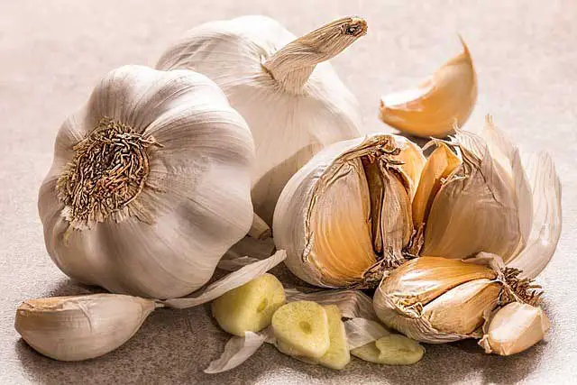 Picture of garlic for cold and cough recovery
